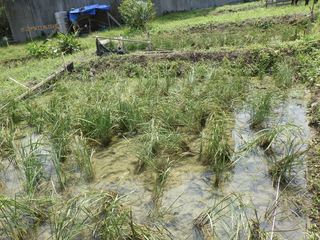 0812cꂽ.JPG