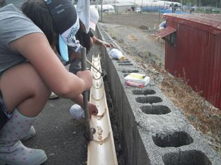 DSCF8730_R.JPG