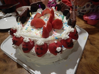 DSCN0116_R.JPG