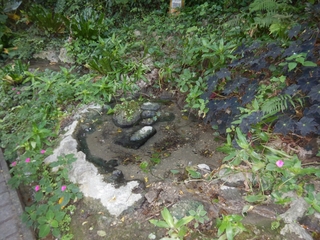 DSCN0166_R.JPG