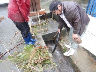 DSCN4066_R.JPG