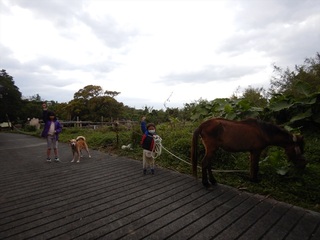 DSCN4860_R.JPG