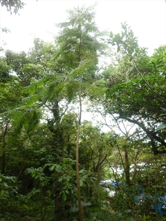 DSCN7169_R.JPG