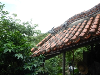 DSCN7260_R.JPG