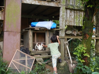 DSCN9218_R.JPG