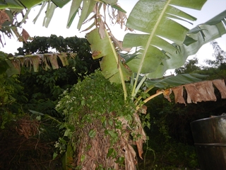 DSCN9888_R.JPG