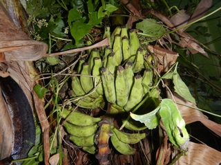 DSCN9889_R.JPG