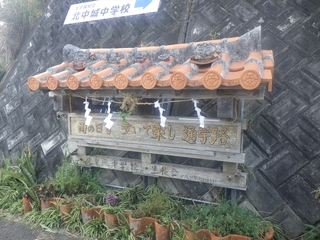 wZŔ䕼.JPG