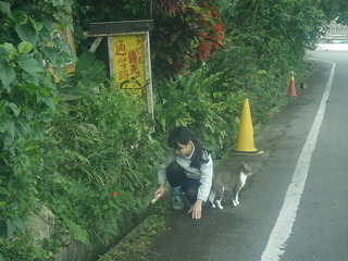 a菜Q.JPG