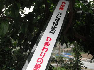 U.JPG