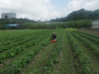 _g}g茴ꂳeq (43).JPG