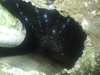 PȂ^N.JPG