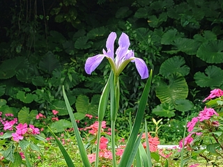 KIMG20250327_102122055_R.JPG