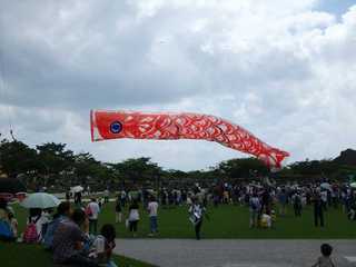 P4290180_R.JPG